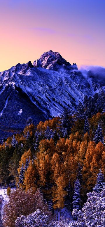 Mount Sneffels, Colorado, Snow covered, Aspen trees, Fog, Purple sky, Morning, Glacier, Beautiful