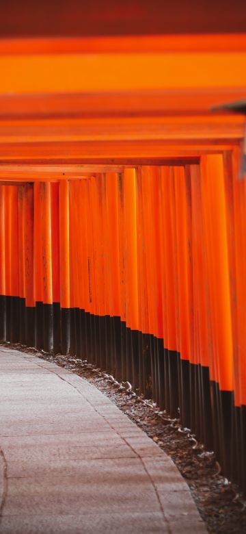 Shinto Shrine, Tokyo, Japanese culture, Torii Pass, Orange, Pattern, Pathway, Temple, Worship, 5K