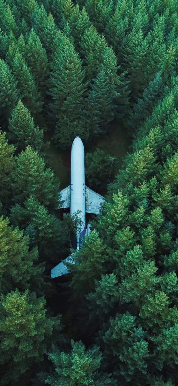 Airplane, Green Trees, Aerial view, Forest, Green background, Alpine trees