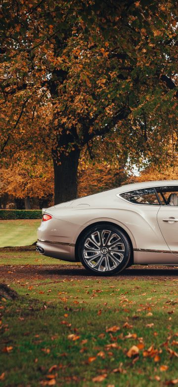 Bentley Continental GT Mulliner, 8K, 2020, 5K