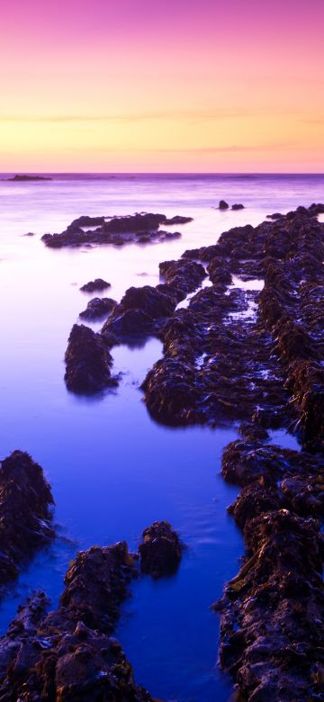 Fitzgerald marine reserve, Sunset, California, USA, Moss Beach, Rocks, Purple sky, Landscape, Seascape, Body of Water, Ocean, Horizon, Clear sky, 5K