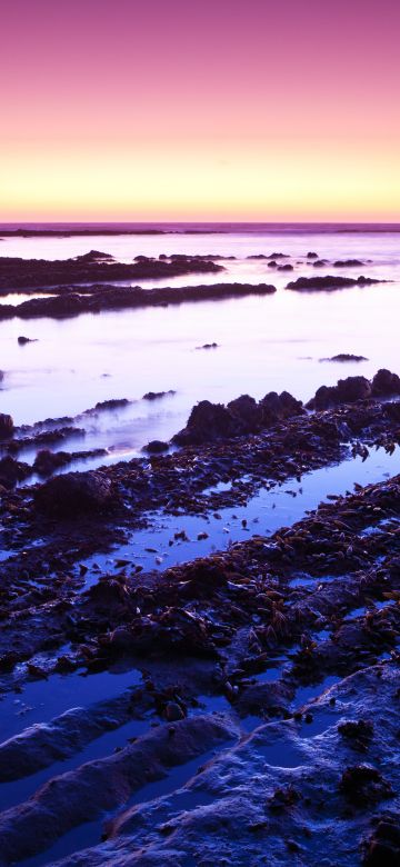 Fitzgerald marine reserve, California, USA, Moss Beach, Rocks, Sunset, Purple sky, Landscape, Seascape, Body of Water, Horizon, Clear sky, 5K