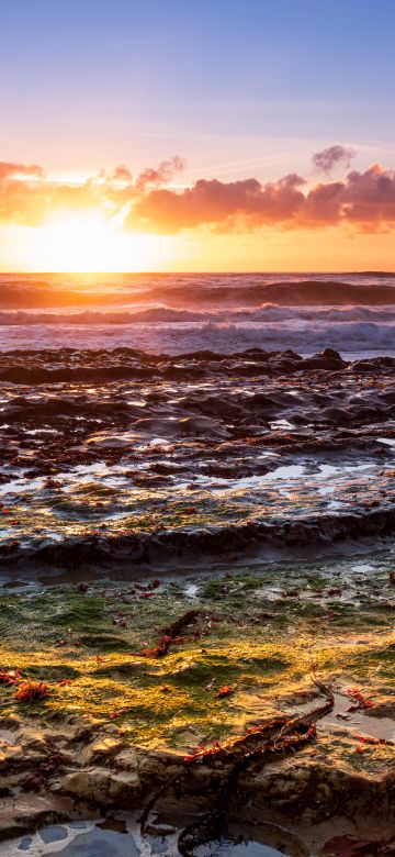 Davenport, California, USA, Sunset, Clouds, Marine Layers, Waves, Ocean, Seascape, 5K, 8K