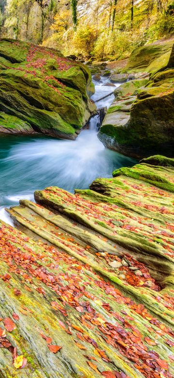 River, Autumn, Foliage, Stream, Savoie, France, Rocks, 5K