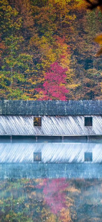 Cambron Covered Bridge, Huntsville, Alabama, Reflection, River, Autumn, Trees, 5K, 8K