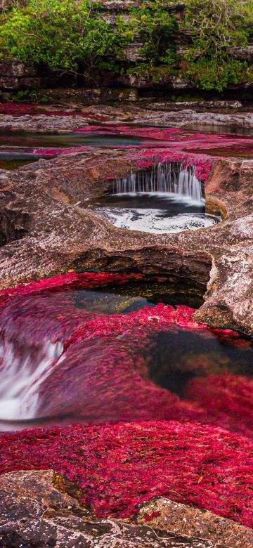 Caño Cristales, River, Serranía de la Macarena, Stream, Rocks, Colombia, 5K