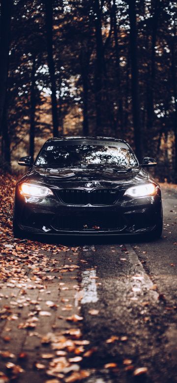 BMW, Black cars, Cinematic, Autumn, Foliage, Road, Tarmac