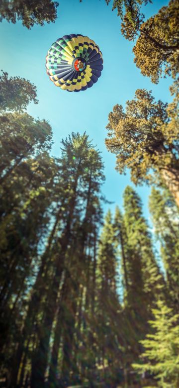 Hot air balloon, Sequoia National Park, California, Woods, Tall Trees, Looking up at Sky, Blue Sky, 5K