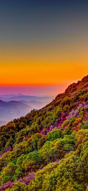 Sequoia National Park, California, United States, Green Trees, Colorful Sky, Purple, Daytime, Mountain range, Landscape, Countryside, Hill, Mountain Peak, Clear sky, 5K