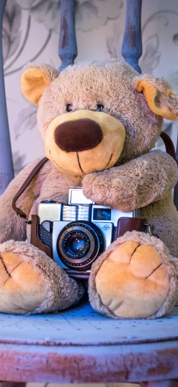 Teddy bear, Vintage Camera, Pink flowers, Orchid flowers, Cute toy, Wooden Chair, Green leaves, Toys, 5K