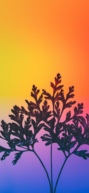 Herbal plant, Gradient background, RGB Light, Colorful, Multicolor, Silhouette, Vibrant, Aesthetic, 5K