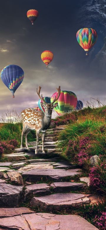 Deer, Hot air balloons, Sunrise, Landscape, Stone staircase, Spring, Girly