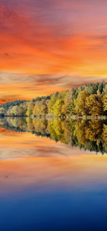 Forest, Afterglow, Trees, Sunset, Orange sky, Mirror Lake, Body of Water, Reflection, Landscape, Scenery, 5K