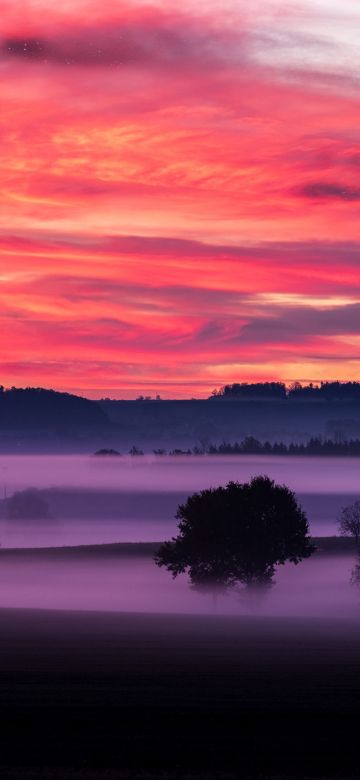 Orange sky, Sunset, Landscape, Foggy, Scenery, Clouds, Trees, Silhouette, Dawn, 5K