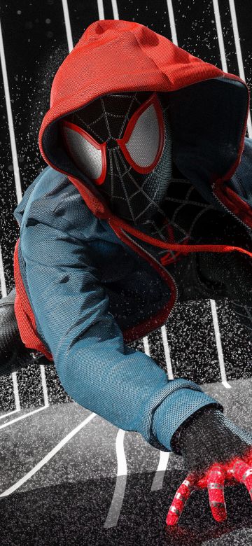 Miles Morales, Spider-Man, Spider-Verse, Marvel Superheroes, Spiderman