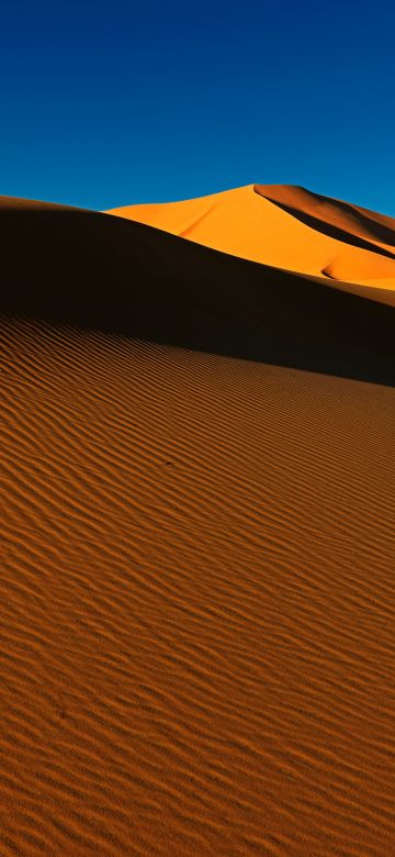 Sahara Desert, Sand Dunes, Algeria, Soil, Daytime, Blue Sky, Clear sky, Scenery, Landscape