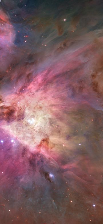 Orion Nebula, Astronomy, Outer space, Interstellar cloud, Stars, Cosmos, 5K