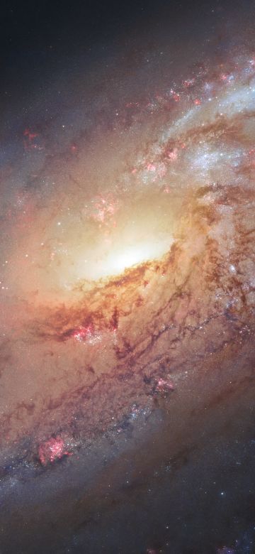 Spiral galaxy, Messier 106, Constellation, Nebula, Stars, Astronomy, Cosmos, 5K