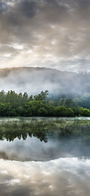 Berowra Creek, Australia, Cloudy Sky, Sunrise, Watercourse, Green Trees, Forest, Misty, Reflection, Landscape, Mirror Lake, 5K