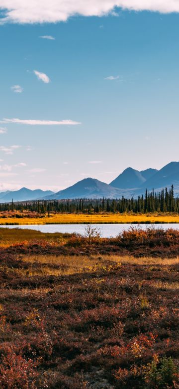 Autumn season, Landscape, Scenery, Beautiful, Mountain range, Green Trees, Clear sky, Lake, 5K