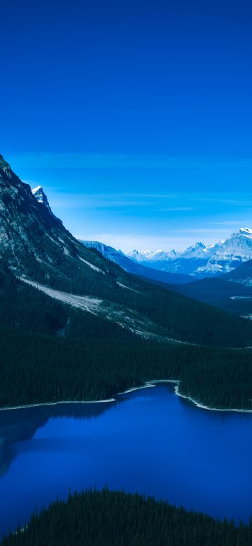 Peyto Lake, Banff National Park, Canada, Canadian Rockies, Mountain range, Blue Sky, Glacier mountains, Snow covered, Reflection, Green Trees, Landscape, Twilight, 5K