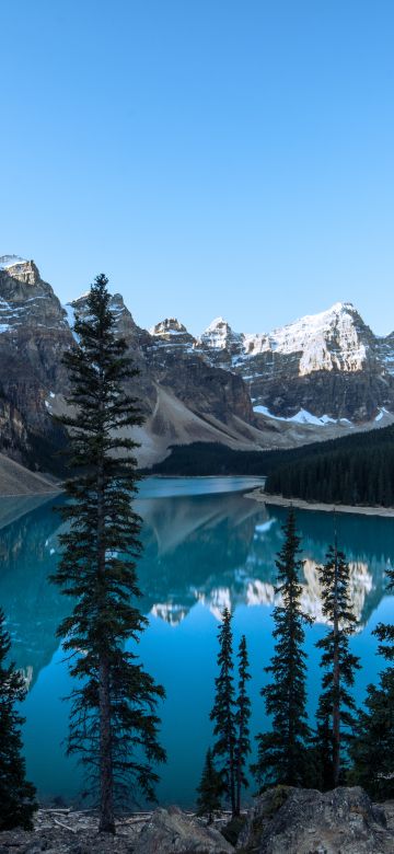 Moraine Lake, Glacier mountains, Canada, Valley of the Ten Peaks, Banff National Park, Green Trees, Reflection, Blue Water, Clear sky, Daytime, Landscape, Scenery, 5K