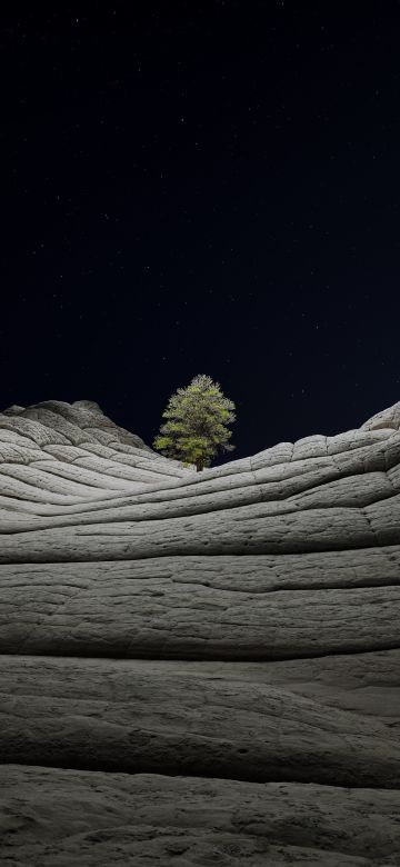 macOS Big Sur, Dark aesthetic, Stock, Night, Lone tree, Sedimentary rocks, Starry sky, iOS 14, 5K, Vermilion Cliffs