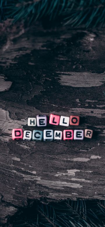 Hello December, Dice, Assorted, Wooden background, Pine branches, Christmas decoration, Letters, 5K