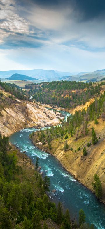 Yellowstone National Park, USA, Cliff, River Stream, Landscape, Canyon, Green Trees, Valley, Scenery, 5K