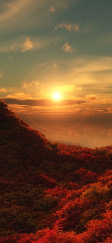 Red Trees, Sunrise, Cloudy Sky, Forest, Aerial view, Beautiful, 5K