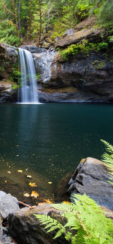 Coquille River Falls, Oregon, Waterfalls, Forest, Landscape, Green Trees, Ferns, Body of Water, Water Stream, Long exposure, 5K