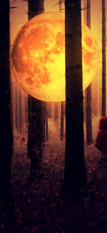 Full moon, Kid, Forest, Woodland, Surreal, Mystic, Night time, Tall Trees, 5K