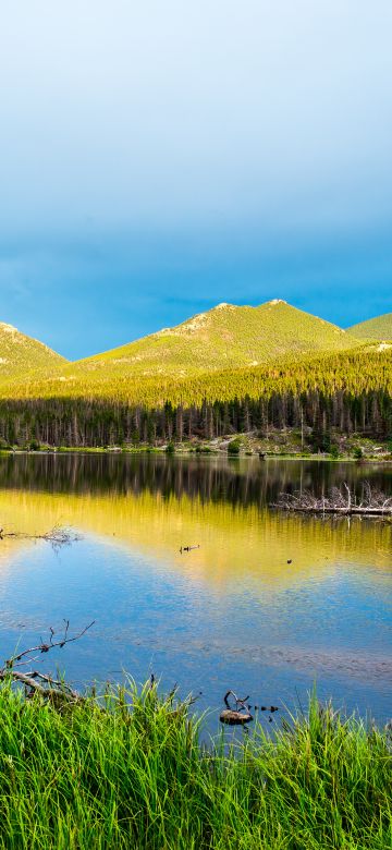 Sprague Lake, Rocky Mountain National Park, Colorado, Landscape, Green Trees, Blue Sky, Beautiful, Scenery, Reflection, 5K