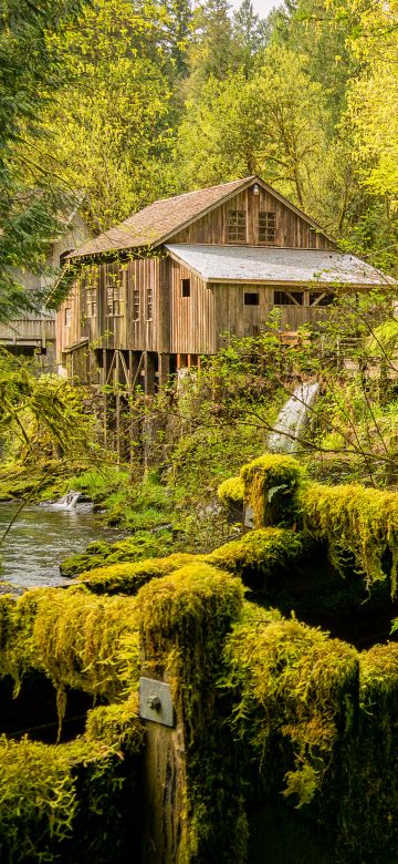 Cedar Creek Grist Mill, Woodland, Washington State, Forest, Landscape, Green Trees, Greenery, Moss, Scenery, 5K