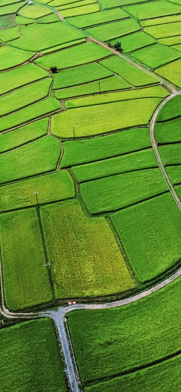 Agriculture, Farm Land
