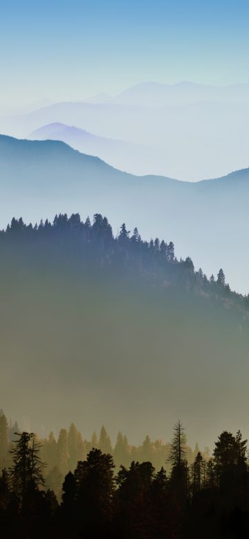 Mac OS X, Mountains, Forest, Hills, Foggy, Morning, Stock, 5K