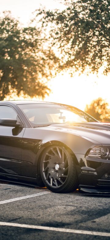 Ford Mustang GT, Black cars, Sports cars, Automobile, Sedan, Sun light, 5K