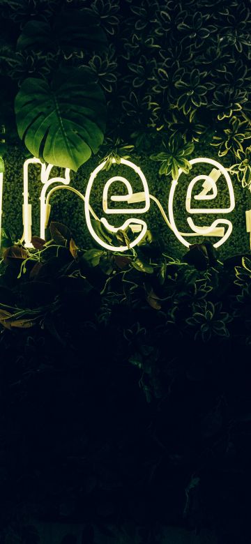 Green, Neon sign, Plant, Illuminated, Leaves