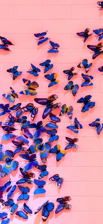 Blue butterfly, Pink background, Wall, Decoration, Colorful, Beautiful, Aesthetic, 5K, Pastel background, Pastel red