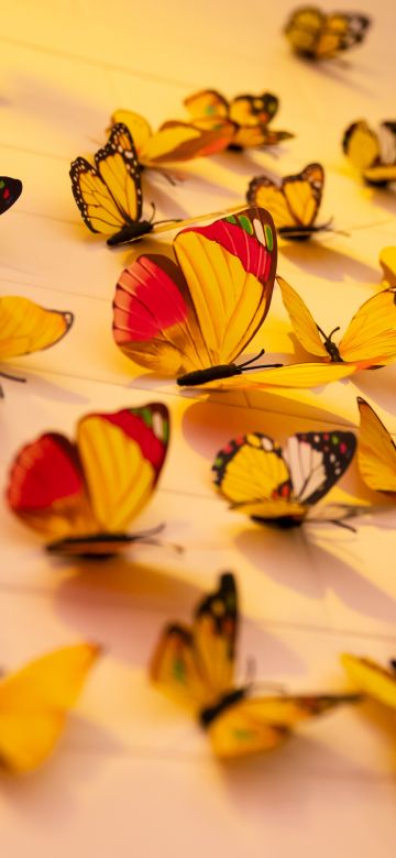 Colorful butterflies, Aesthetic, Wall Decorations, Yellow Butterflies, Closeup, Assorted, Beautiful, 5K