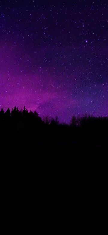 Trees, Silhouette, Purple sky, Dark background, Night sky, Stars, Dark aesthetic