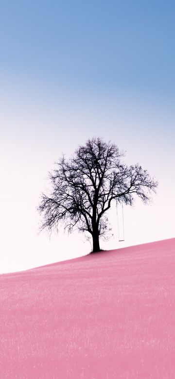 Solitude Tree, Clear sky, Landscape, Surreal, Pink Sand, Desert, Swing, Scenery, 5K, 8K