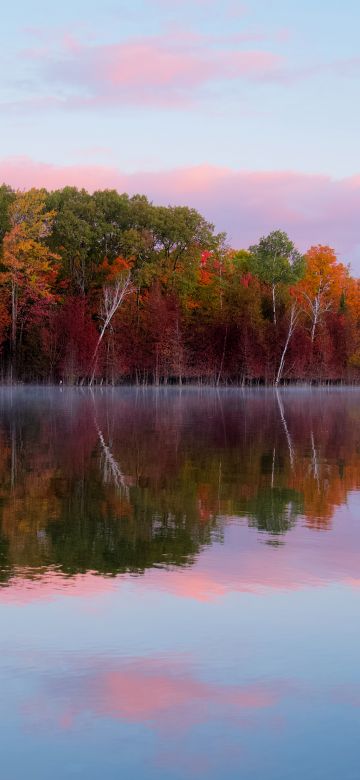 Autumn trees, Forest, Body of Water, Reflection, Lake, Landscape, Scenery, Outdoor, 5K