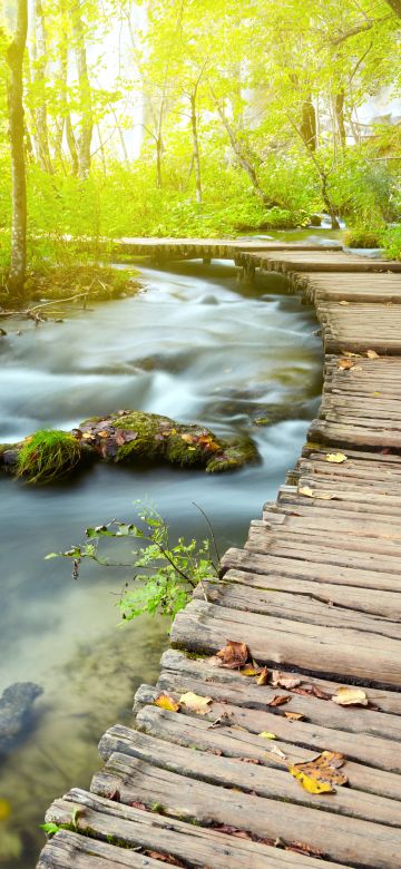 Wooden pier, Forest, Green Trees, Water Stream, Long exposure, Greenery, Woods, Scenery, 5K, 8K