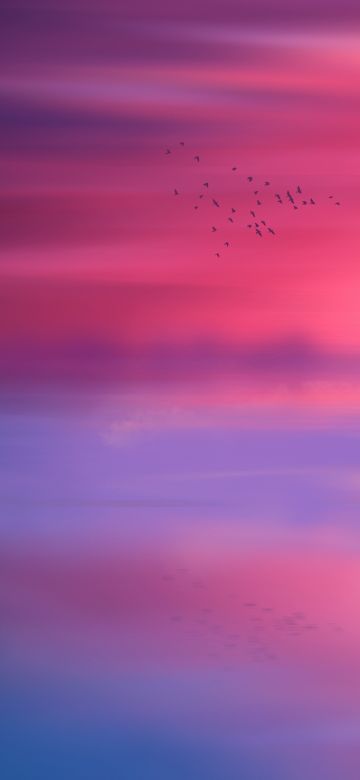 Pink sky, Horizon, Scenic, Flying birds, Seascape, Sunset, Aesthetic, 5K, 8K