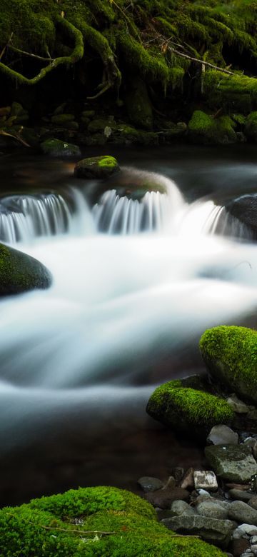 Bear Creek, Colorado, River Stream, Green Moss, Rocks, Water flow, Long exposure, Landscape, Greenery