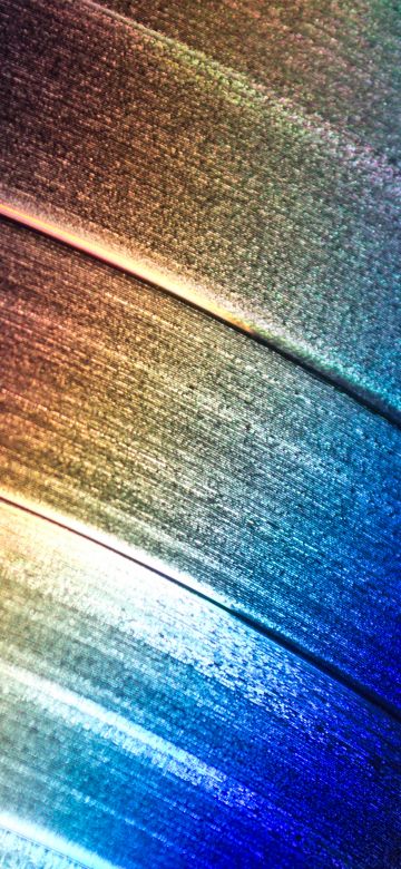 Light on record, Closeup, Macro, Rainbow colors, Multicolor, Pattern, Vinyl Record Disc, Shining, 5K