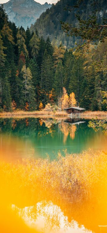 Lake house, Forest, Green Trees, Alpine trees, Reflection, Landscape, Scenery, 5K