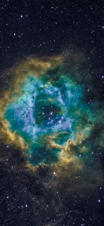 Rosette Nebula, Astronomy, Milky Way, Blue Galaxy, Hubble Palette, Stars, Outer space