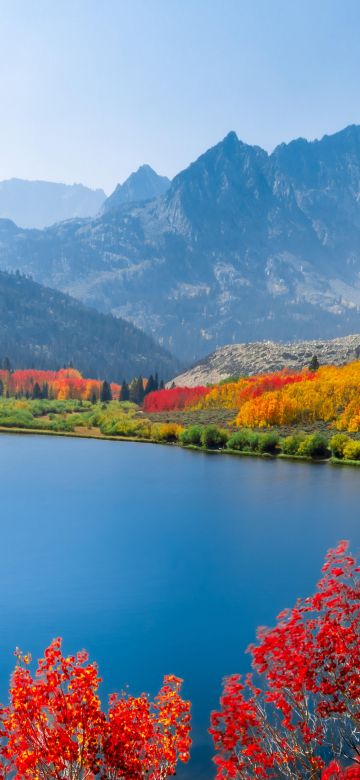 Autumn trees, Lake, Mountain range, Daytime, Landscape, Long exposure, Scenery, Beautiful, 5K